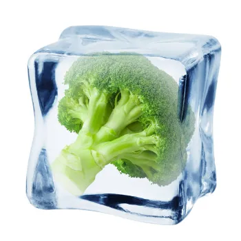Frozen Baroccoli  (38)-4290246-59623.webp